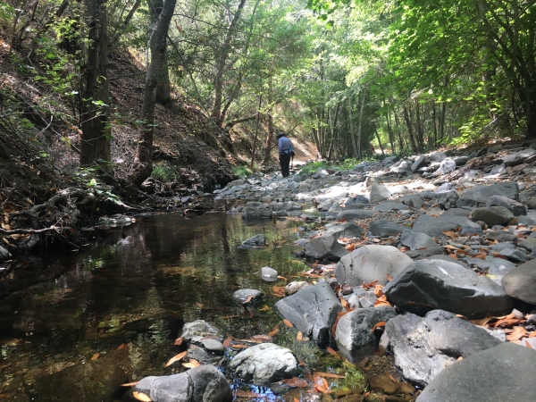 Moore Creek Park Hike