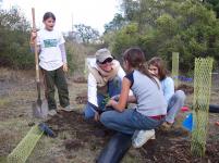 Restoration planting