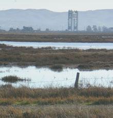 Napa River Watershed Image